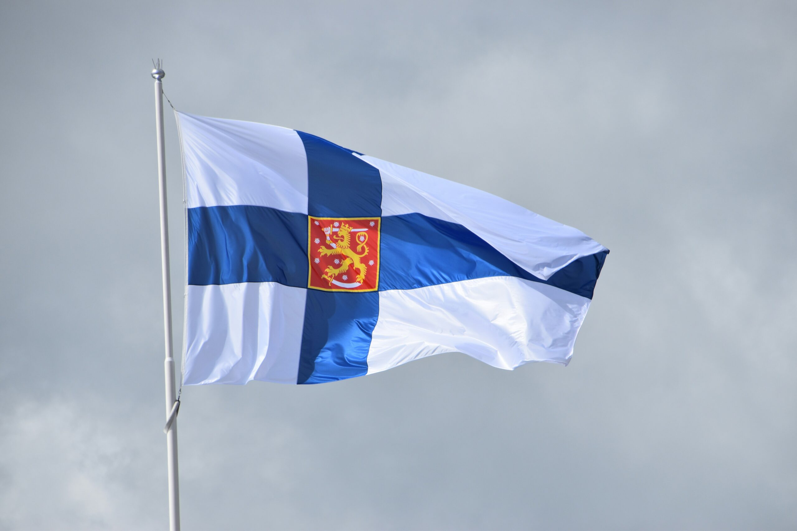 Finnish Defence Forces