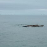 General Dynamics Wins 2 M Contract for New Vertical Sonar Arrays