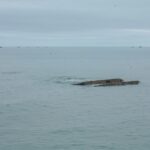 General Dynamics Wins 2 M Contract for New Vertical Sonar Arrays