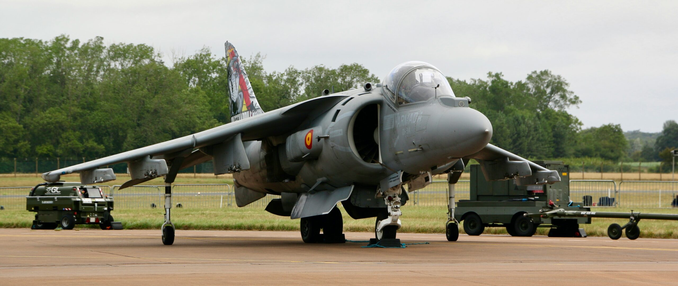 Spanish Harrier