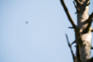 U.S. Army photo by Spc. Elijah Maga&ntilde;a