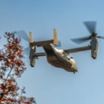 Photo by Amanda Clark