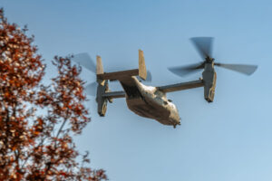 Photo by Amanda Clark