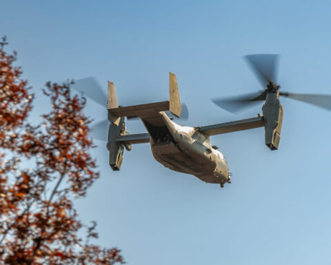 Photo by Amanda Clark